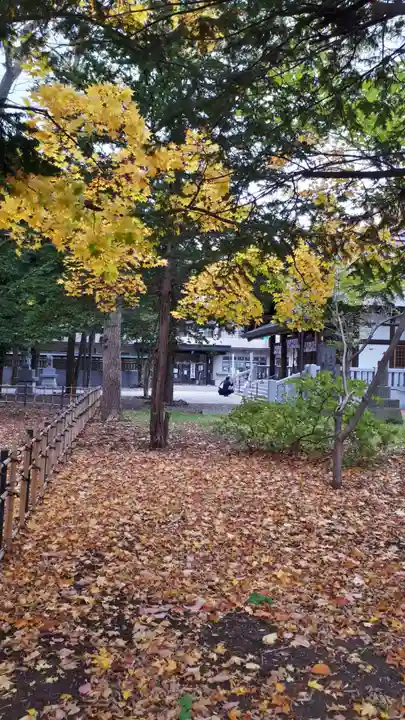 新琴似神社のその他建物