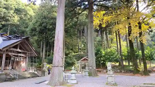 天日陰比咩神社の{uncategorized: "未分類", other: "その他", undefined: "問題あり", building: "その他建物", grave: "お墓", sacred_gate: "鳥居", guardian: "狛犬", statue: "像", buddha: "仏像", history: "歴史", nature: "自然", garden: "庭園", animal: "動物", pagoda: "塔", temizu: "手水舎", mountain_gate: "山門・神門", sanctuary: "本殿・本堂", subordinate: "末社・摂社", art: "芸術", scenery: "景色", jizo: "地蔵", ema: "絵馬", goshuin: "御朱印", omikuji: "おみくじ", items: "授与品その他", amulet: "お守り", goshuincho: "御朱印帳", eats: "食事", festival: "お祭り", votive_dance: "神楽", shichigosan: "七五三参", wedding: "結婚式", experience: "体験その他", initially: "初詣", around: "周辺", anti_infection: "感染症対策"}