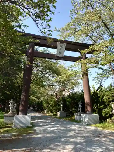 冨士御室浅間神社の鳥居