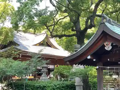 若宮八幡社(愛知県)