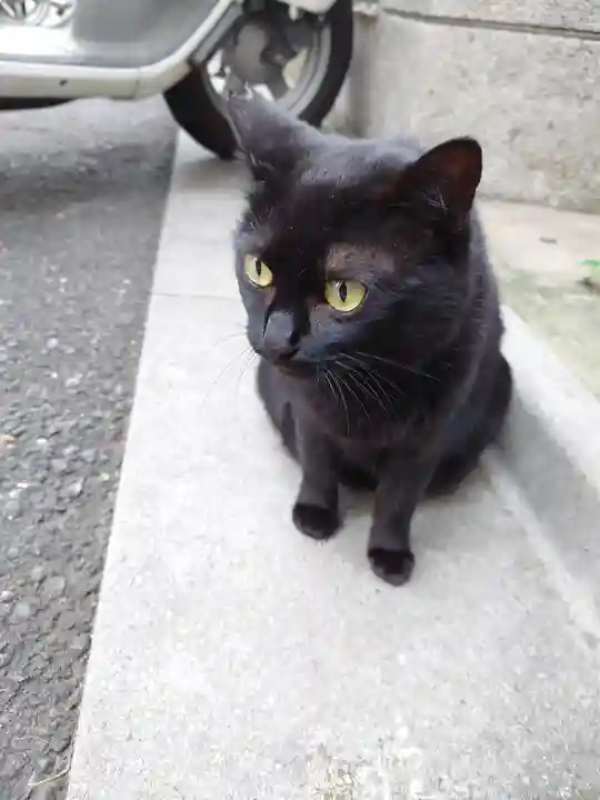 小野照崎神社の動物