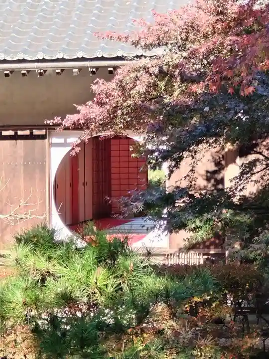 明月院(神奈川県)