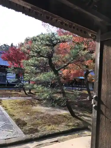 長壽寺（長寿寺）の自然