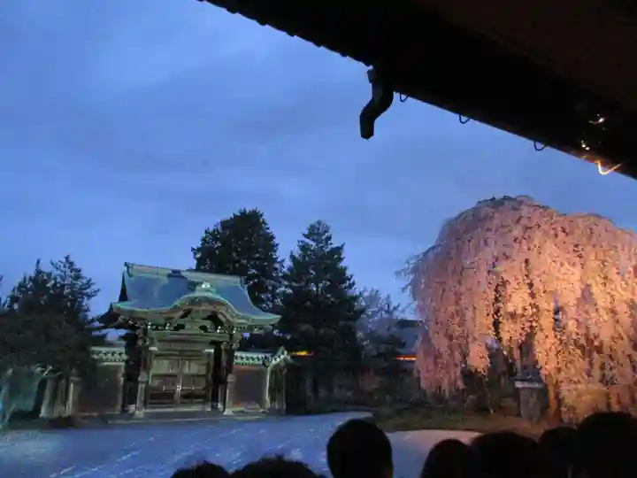 高台寺(高台寿聖禅寺・高臺寺)の景色