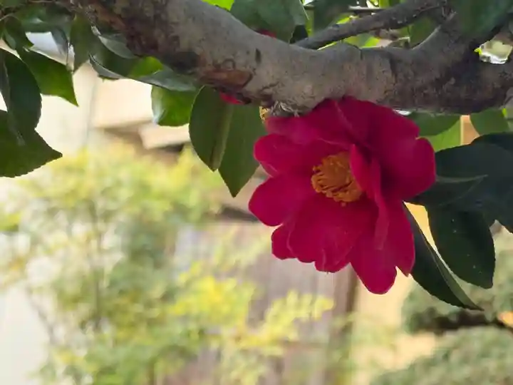 西方山極楽寺(岐阜県)