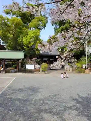 若宮八幡社(愛知県)