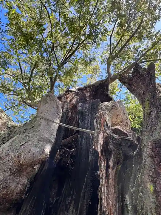 阿邪訶根神社(福島県)