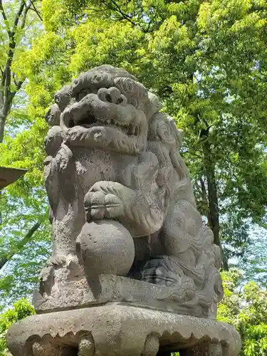 熊野福藏神社の狛犬