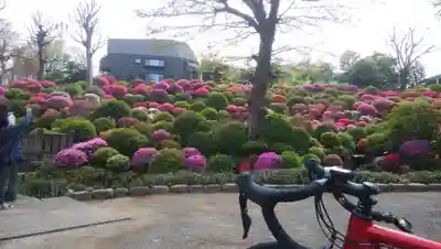 根津神社のその他建物