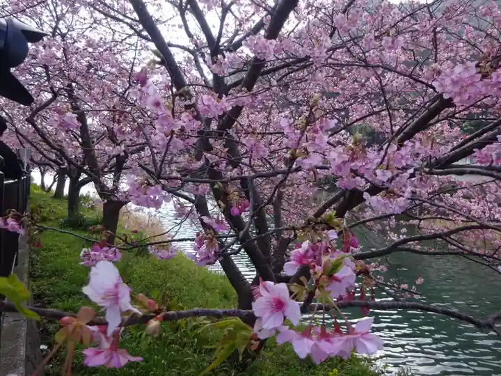 かっぱの寺 栖足寺の自然