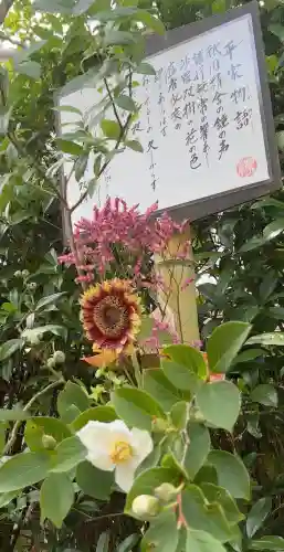 明月院(神奈川県)