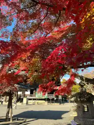 西教寺(滋賀県)