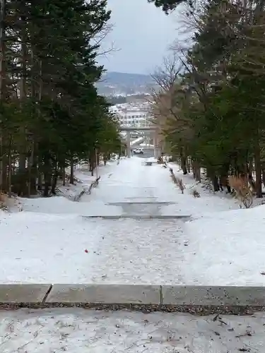 上川神社の景色