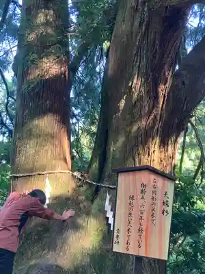 大山阿夫利神社本社(神奈川県)