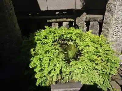 嶺御嶽神社(東京都)