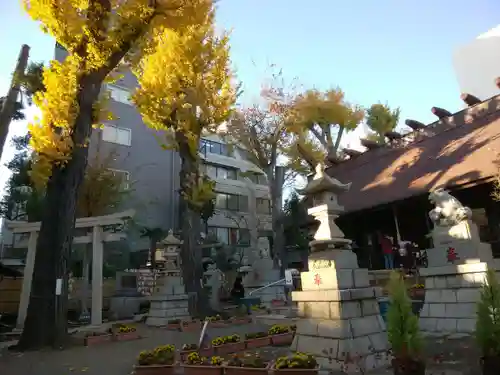 高円寺氷川神社のその他建物
