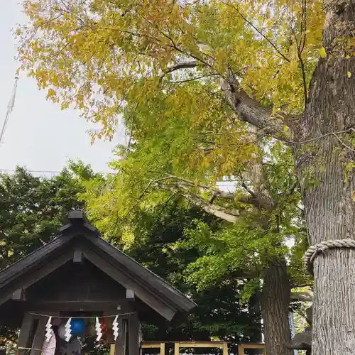 札幌諏訪神社の自然