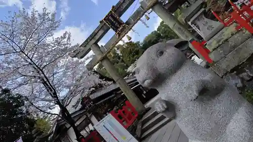 出雲大神宮(京都府)