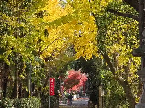 日根神社(大阪府)