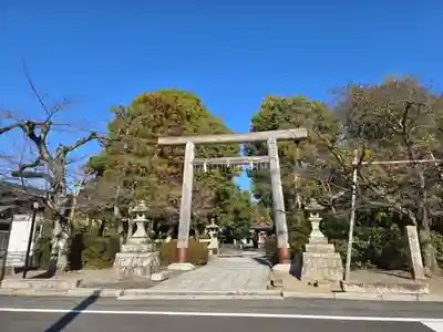 木嶋坐天照御魂神社(京都府)