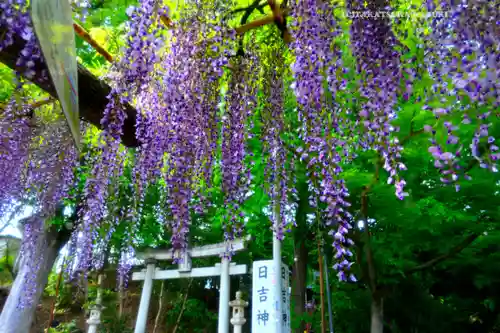 日吉神社(東京都)
