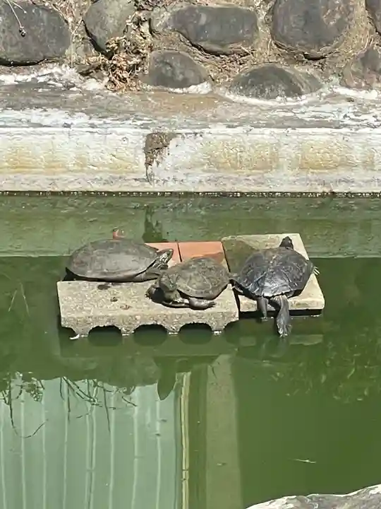 粟島神社(東京都)