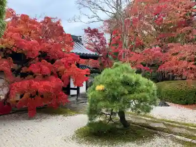 天授庵(京都府)