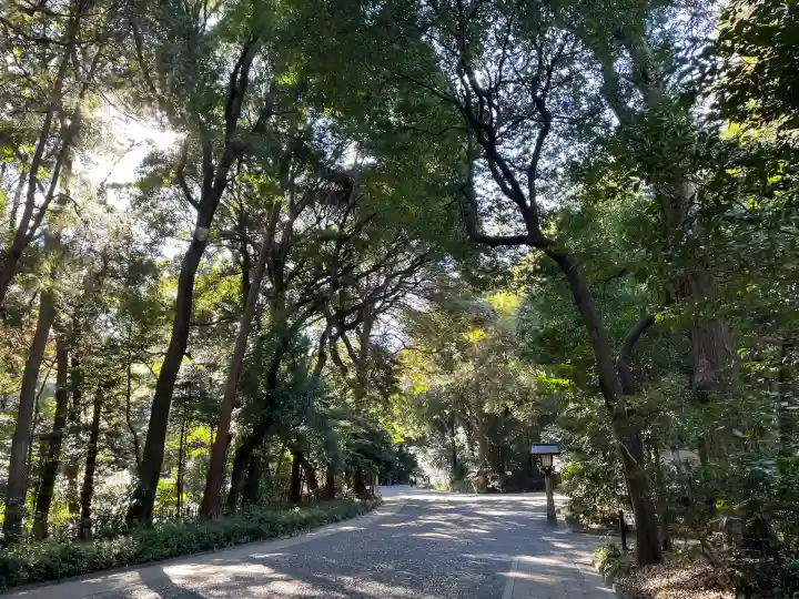 明治神宮(東京都)