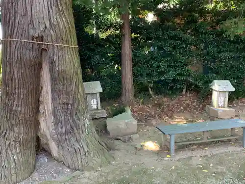 大國玉神社(茨城県)