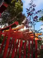 三輪神社の鳥居