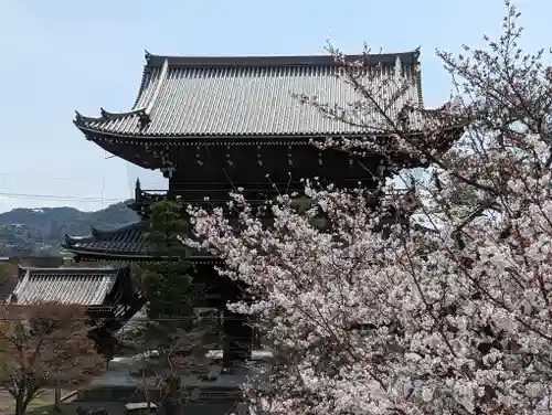 くろ谷 金戒光明寺(京都府)