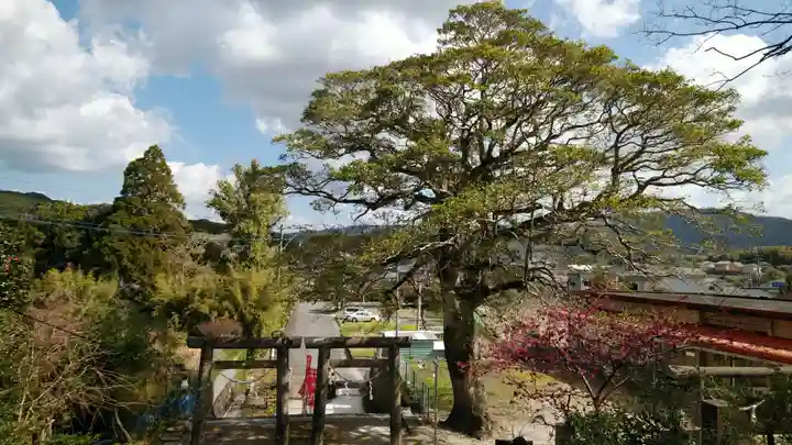 南方神社のその他建物