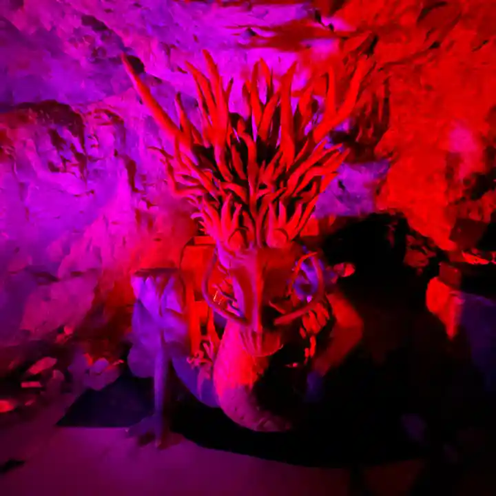 江島神社の周辺