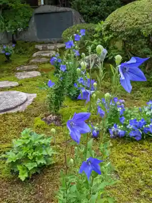 一條殿 新善光寺(京都府)
