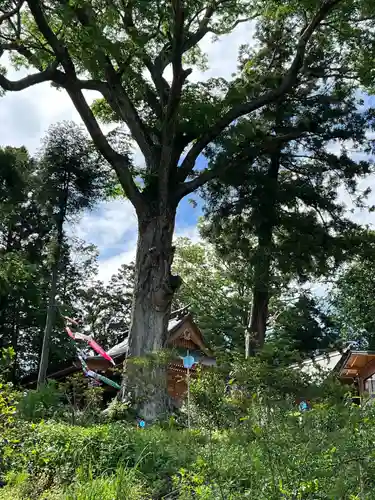 長屋神社(福島県)