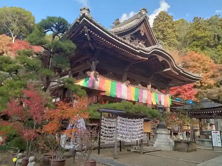 岡寺(龍蓋寺)(奈良県)