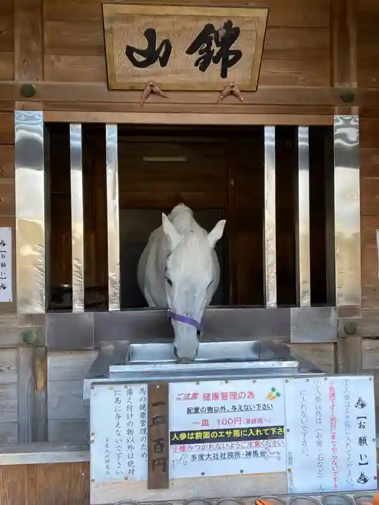多度大社の動物