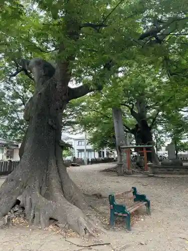 美和神社(長野県)