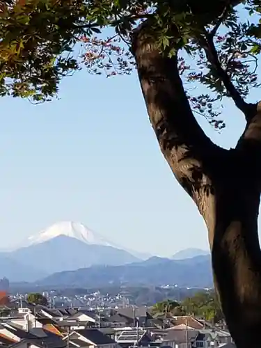 高幡不動尊　金剛寺の景色