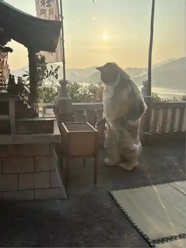 津嶋神社(香川県)
