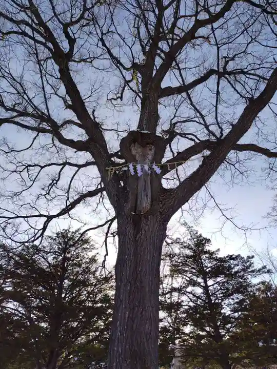 厚別神社(北海道)