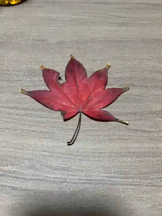 大宮温泉神社(栃木県)