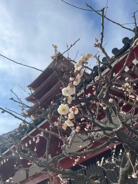 浅草寺の{uncategorized: "未分類", other: "その他", undefined: "問題あり", building: "その他建物", grave: "お墓", sacred_gate: "鳥居", guardian: "狛犬", statue: "像", buddha: "仏像", history: "歴史", nature: "自然", garden: "庭園", animal: "動物", pagoda: "塔", temizu: "手水舎", mountain_gate: "山門・神門", sanctuary: "本殿・本堂", subordinate: "末社・摂社", art: "芸術", scenery: "景色", jizo: "地蔵", ema: "絵馬", goshuin: "御朱印", omikuji: "おみくじ", items: "授与品その他", amulet: "お守り", goshuincho: "御朱印帳", eats: "食事", festival: "お祭り", votive_dance: "神楽", shichigosan: "七五三参", wedding: "結婚式", experience: "体験その他", initially: "初詣", around: "周辺", anti_infection: "感染症対策"}