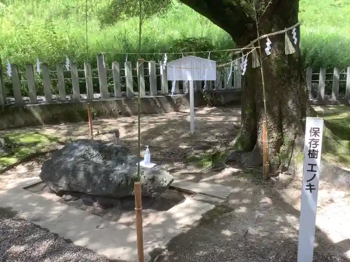 西八龍社の自然