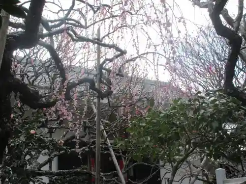 宝戒寺(神奈川県)