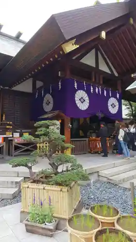 東京大神宮の本殿・本堂