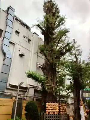 天祖神社(東京都)
