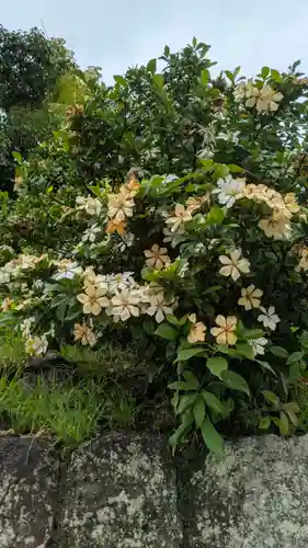 くろ谷 金戒光明寺(京都府)
