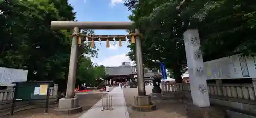 浅草神社の鳥居