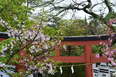 鶴岡八幡宮の鳥居